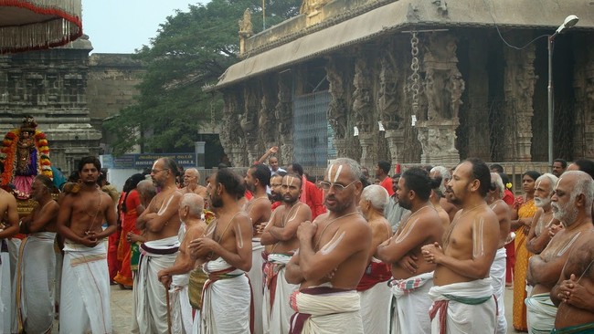 Kanchi Sri Devarajaswami Temple Sri Andal Neerattu Utsavam day 2 2014-18