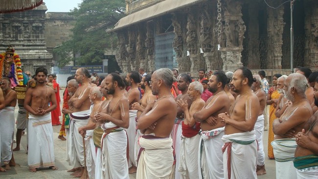 Kanchi Sri Devarajaswami Temple Sri Andal Neerattu Utsavam day 2 2014-19