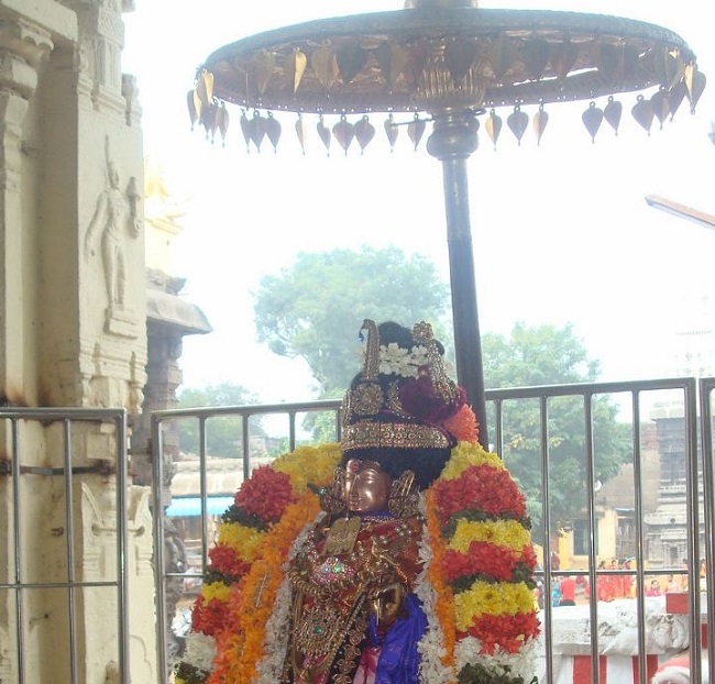 Kanchi Sri Devarajaswami Temple Sri Andal Neerattu Utsavam day 2 2014-20