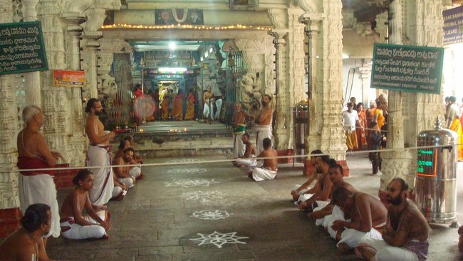 Kanchi Sri Devarajaswami Temple Sri Andal Neerattu Utsavam day 2 2014-25
