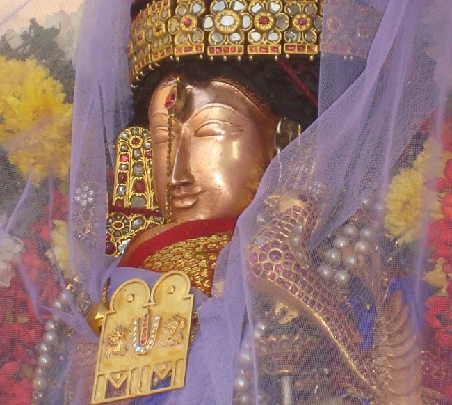 Kanchi Sri Devarajaswami Temple Sri Andal Neerattu Utsavam day 7  2014-02