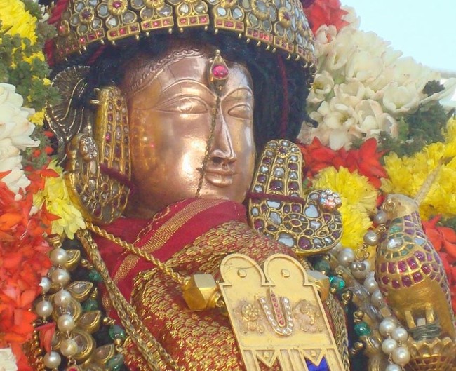 Kanchi Sri Devarajaswami Temple Sri Andal Neerattu Utsavam day 7  2014-03
