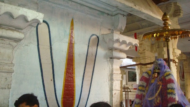 Kanchi Sri Devarajaswami Temple Sri Andal Neerattu Utsavam day 7  2014-07