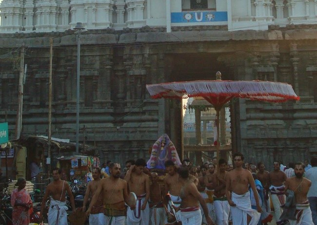 Kanchi Sri Devarajaswami Temple Sri Andal Neerattu Utsavam day 7  2014-09