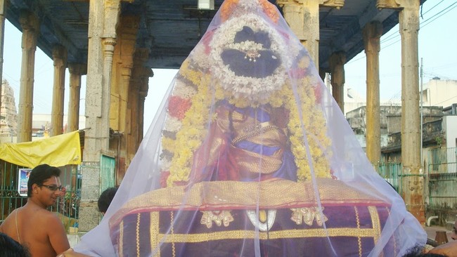 Kanchi Sri Devarajaswami Temple Sri Andal Neerattu Utsavam day 7  2014-11