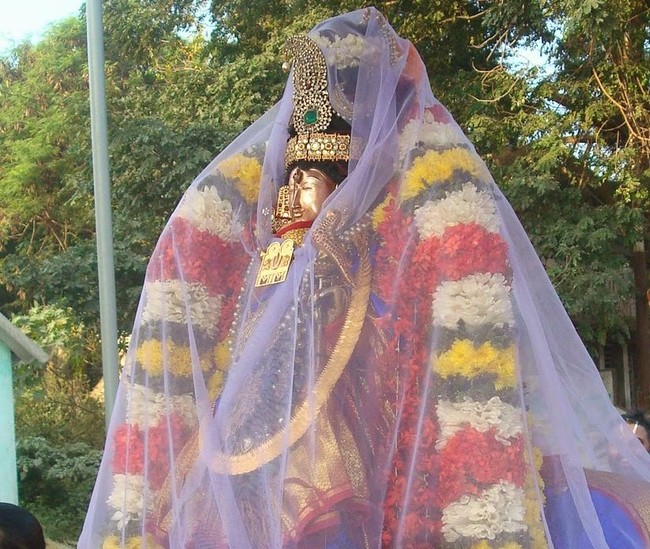 Kanchi Sri Devarajaswami Temple Sri Andal Neerattu Utsavam day 7  2014-12