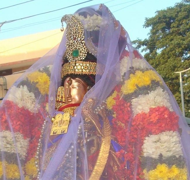 Kanchi Sri Devarajaswami Temple Sri Andal Neerattu Utsavam day 7  2014-13