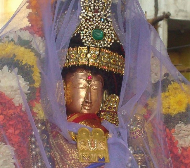 Kanchi Sri Devarajaswami Temple Sri Andal Neerattu Utsavam day 7  2014-14