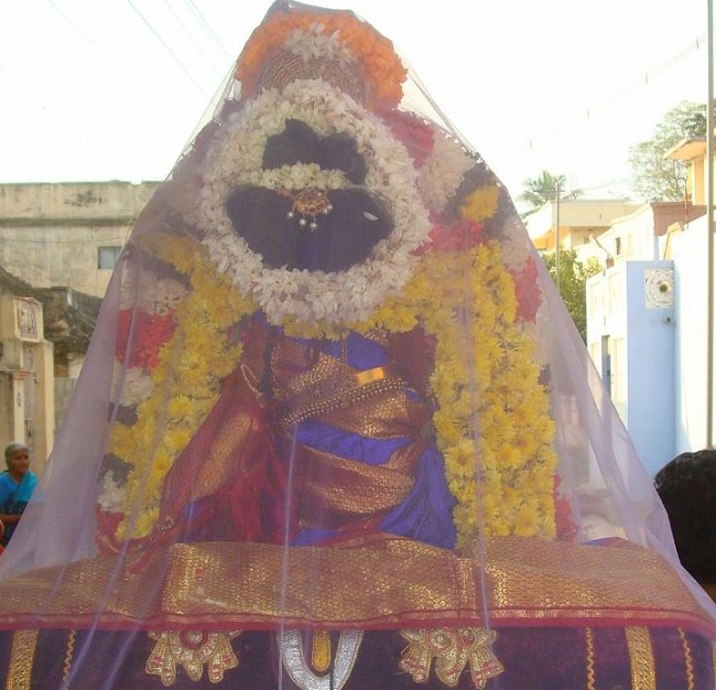 Kanchi Sri Devarajaswami Temple Sri Andal Neerattu Utsavam day 7  2014-23