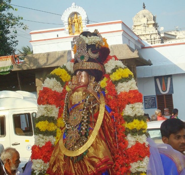Kanchi Sri Devarajaswami Temple Sri Andal Neerattu Utsavam day 7  2014-37