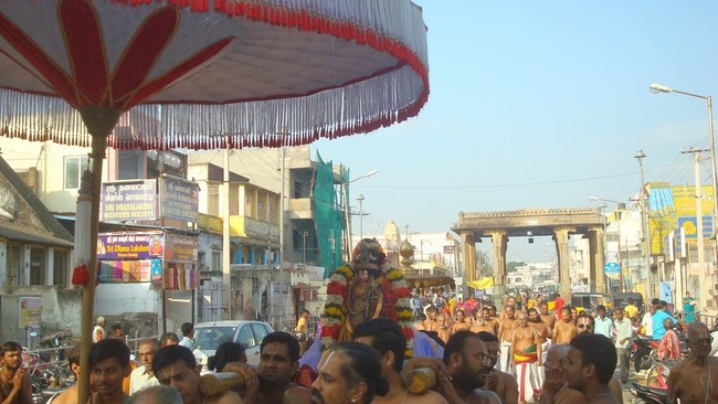 Kanchi Sri Devarajaswami Temple Sri Andal Neerattu Utsavam day 7  2014-40