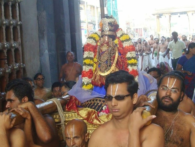Kanchi Sri Devarajaswami Temple Sri Andal Neerattu Utsavam day 7  2014-42