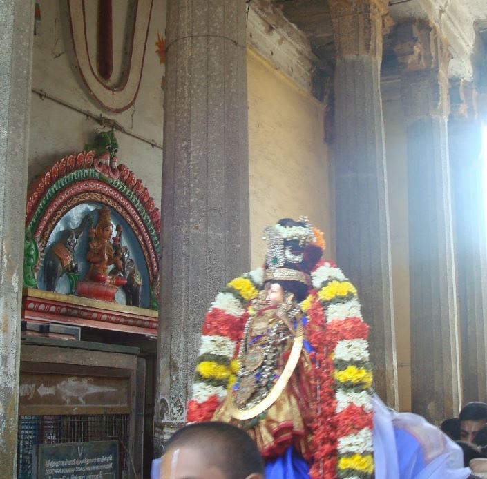 Kanchi Sri Devarajaswami Temple Sri Andal Neerattu Utsavam day 7  2014-52