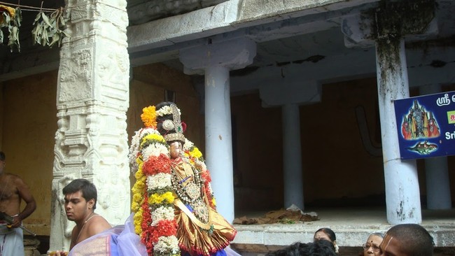 Kanchi Sri Devarajaswami Temple Sri Andal Neerattu Utsavam day 7  2014-53