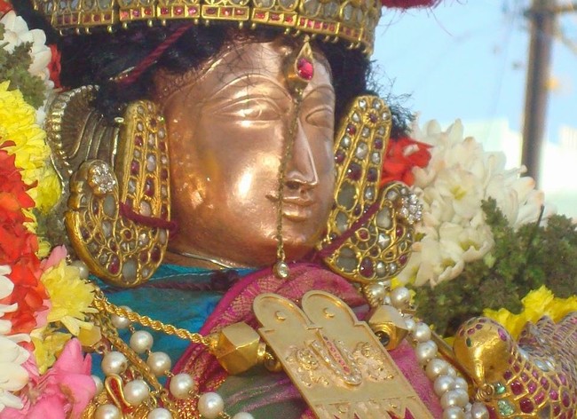 Kanchi Sri Devarajaswami Temple Sri Andal Neerattu Utsavam day 8  2014-02