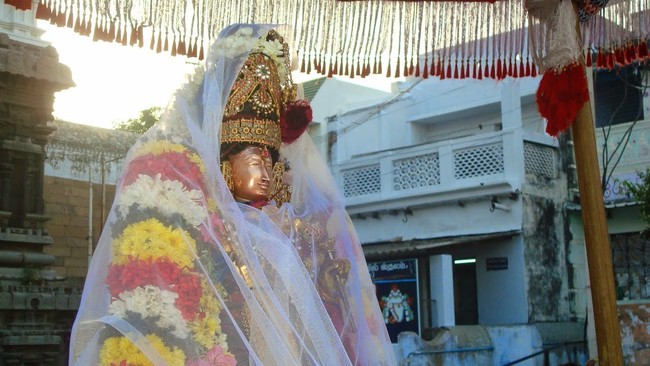 Kanchi Sri Devarajaswami Temple Sri Andal Neerattu Utsavam day 8  2014-08