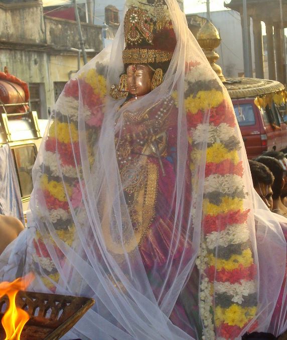 Kanchi Sri Devarajaswami Temple Sri Andal Neerattu Utsavam day 8  2014-11