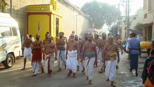 Kanchi Sri Devarajaswami Temple Sri Andal Neerattu Utsavam day 8  2014-19