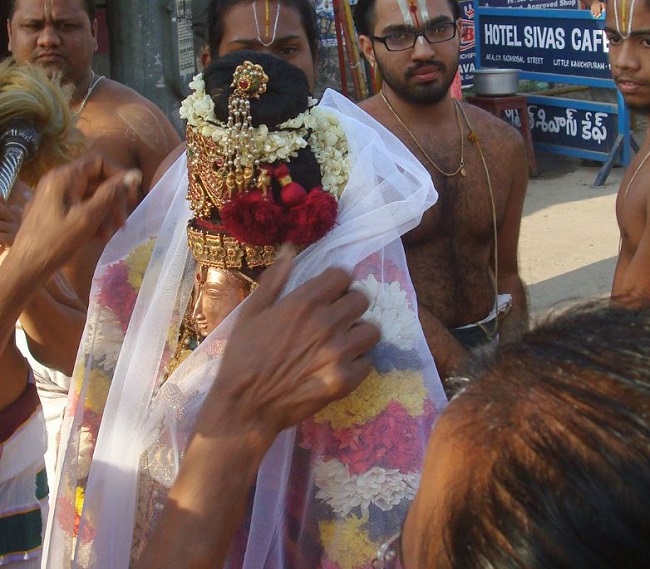 Kanchi Sri Devarajaswami Temple Sri Andal Neerattu Utsavam day 8  2014-20