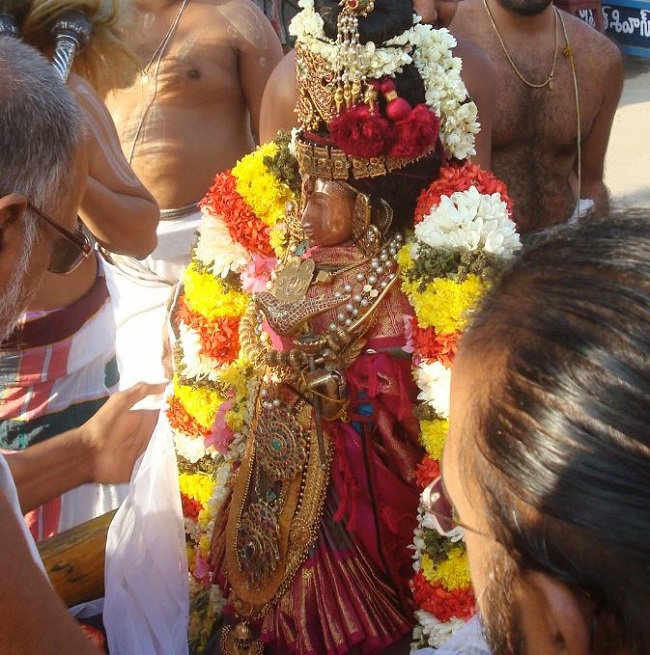 Kanchi Sri Devarajaswami Temple Sri Andal Neerattu Utsavam day 8  2014-21