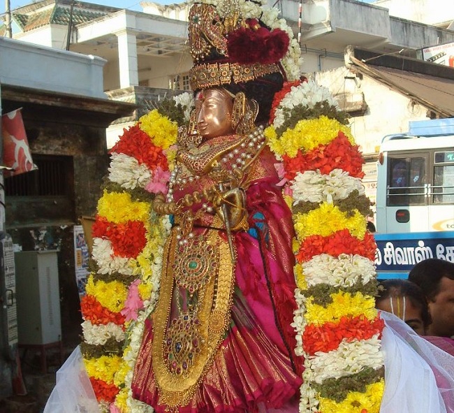 Kanchi Sri Devarajaswami Temple Sri Andal Neerattu Utsavam day 8  2014-22