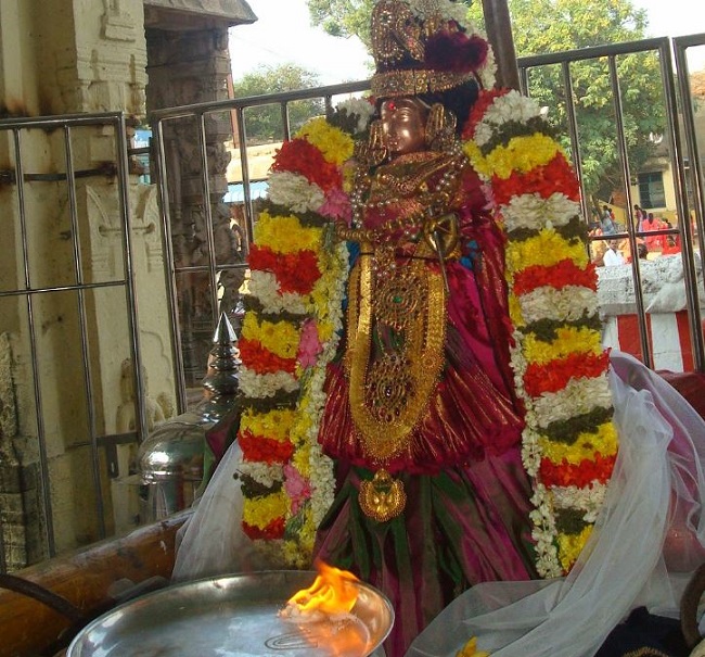 Kanchi Sri Devarajaswami Temple Sri Andal Neerattu Utsavam day 8  2014-30