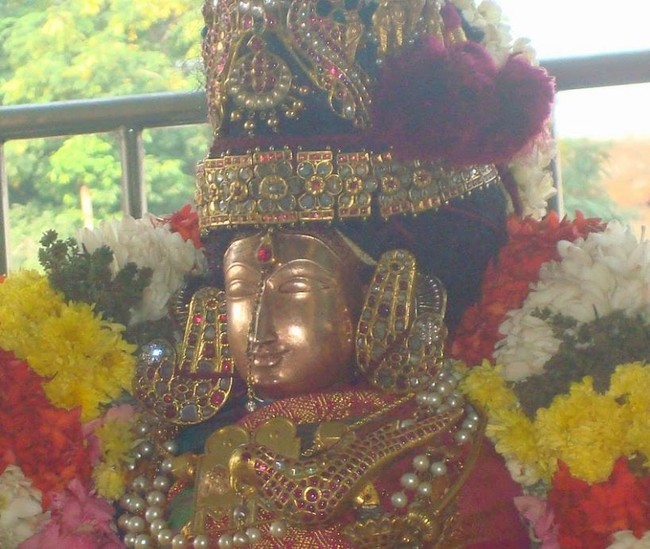 Kanchi Sri Devarajaswami Temple Sri Andal Neerattu Utsavam day 8  2014-31