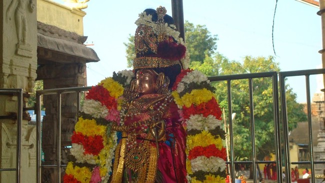Kanchi Sri Devarajaswami Temple Sri Andal Neerattu Utsavam day 8  2014-32