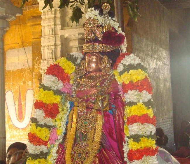 Kanchi Sri Devarajaswami Temple Sri Andal Neerattu Utsavam day 8  2014-33