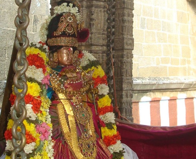 Kanchi Sri Devarajaswami Temple Sri Andal Neerattu Utsavam day 8  2014-34