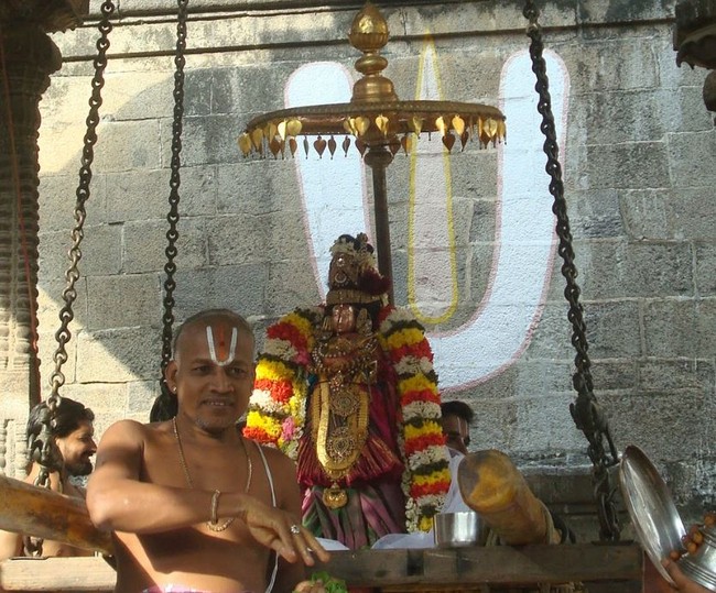 Kanchi Sri Devarajaswami Temple Sri Andal Neerattu Utsavam day 8  2014-35