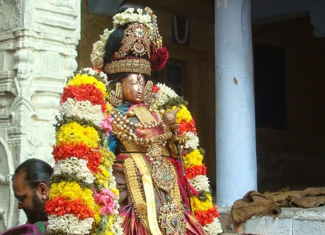 Kanchi Sri Devarajaswami Temple Sri Andal Neerattu Utsavam day 8  2014-39