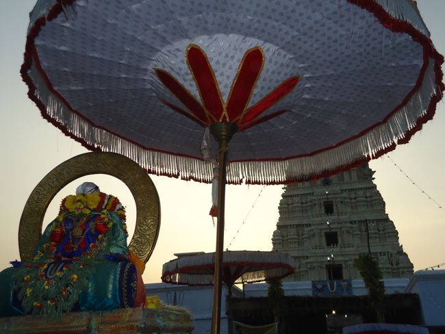 Kanchi Sri Devarajaswami Temple Sri Devaperumal Pazhayaseevaram Purappadu at Hillock 2015-004