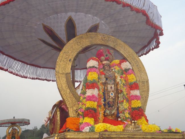 Kanchi Sri Devarajaswami Temple Sri Devaperumal Pazhayaseevaram Purappadu at Hillock 2015-027