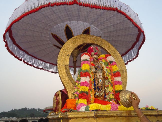 Kanchi Sri Devarajaswami Temple Sri Devaperumal Pazhayaseevaram Purappadu at Hillock 2015-032