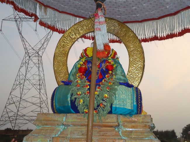 Kanchi Sri Devarajaswami Temple Sri Devaperumal Pazhayaseevaram Purappadu at Hillock 2015-047