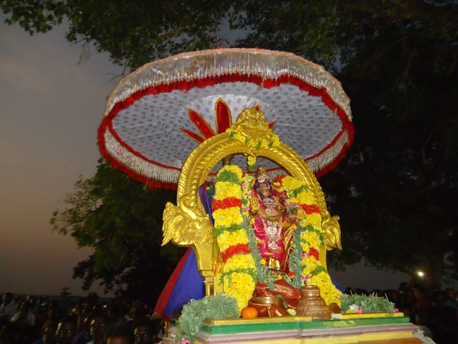 Kanchi Sri Devarajaswami Temple Sri Devaperumal Pazhayaseevaram Purappadu at Hillock 2015-056