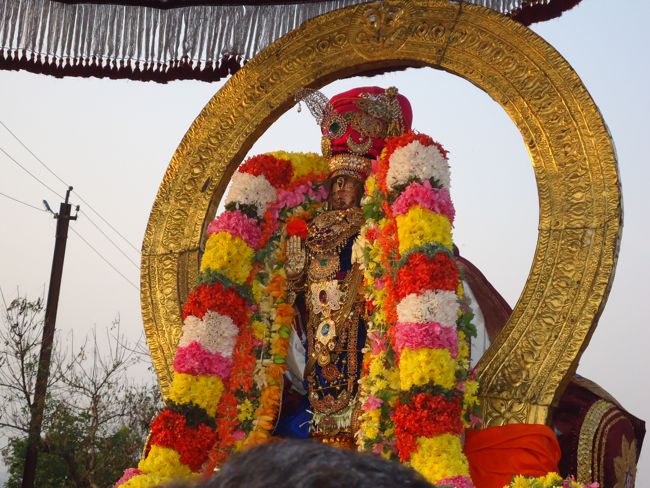 Kanchi Sri Devarajaswami Temple Sri Devaperumal Pazhayaseevaram Purappadu at Hillock 2015-089
