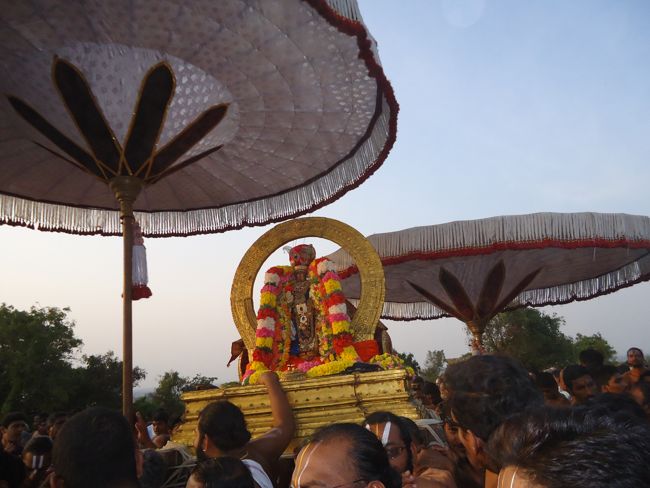 Kanchi Sri Devarajaswami Temple Sri Devaperumal Pazhayaseevaram Purappadu at Hillock 2015-090
