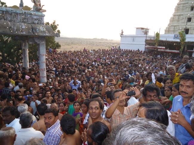Kanchi Sri Devarajaswami Temple Sri Devaperumal Pazhayaseevaram Purappadu at Hillock 2015-107