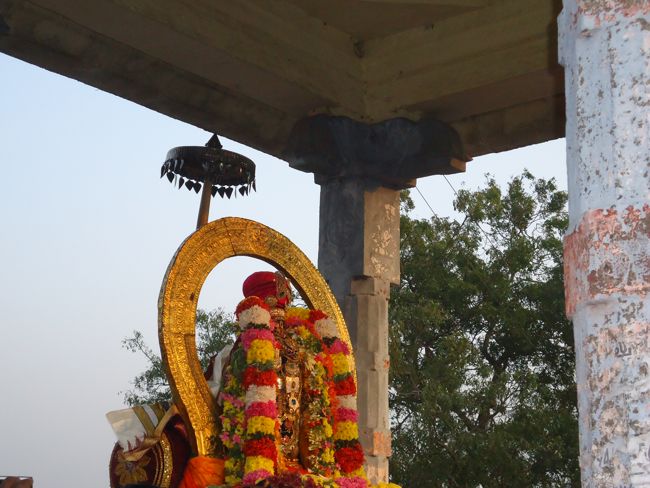 Kanchi Sri Devarajaswami Temple Sri Devaperumal Pazhayaseevaram Purappadu at Hillock 2015-111