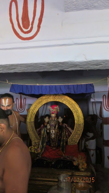 Kanchi Sri Devarajaswami Temple Sri Devaperumal Pazhayaseevaram Purappadu day 2015-37