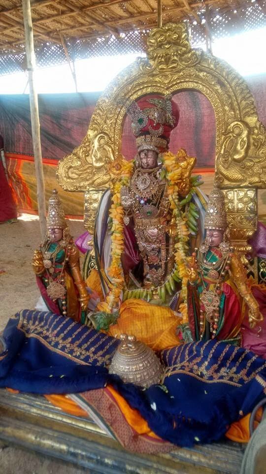 Kanchi Sri Devarajaswami Temple Vanabhojana Utsavam  2015-01