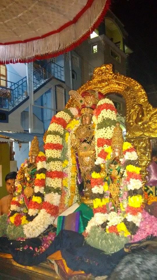 Kanchi Sri Devarajaswami Temple Vanabhojana Utsavam  2015-03