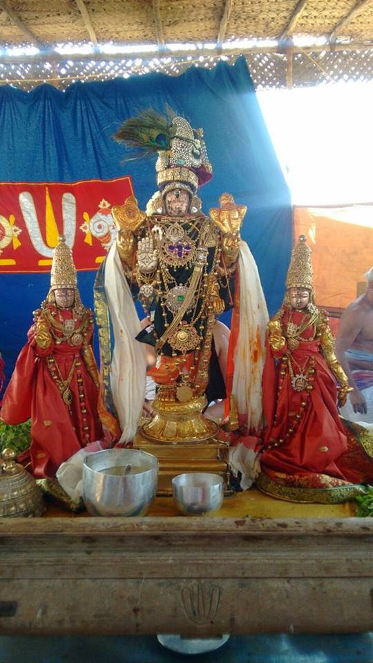 Kanchi Sri Devarajaswami Temple Vanabhojana Utsavam  2015-04