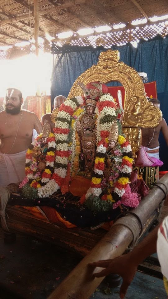 Kanchi Sri Devarajaswami Temple Vanabhojana Utsavam  2015-05