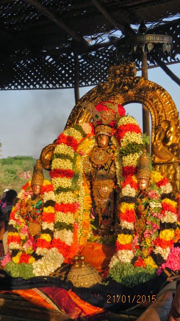 Kanchi Sri Devarajaswami Temple Vanabhojana Utsavam  2015-17