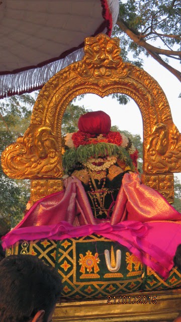 Kanchi Sri Devarajaswami Temple Vanabhojana Utsavam  2015-23