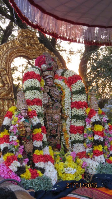 Kanchi Sri Devarajaswami Temple Vanabhojana Utsavam  2015-24