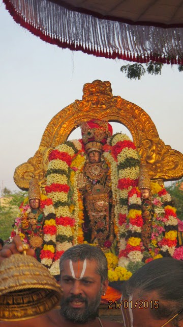 Kanchi Sri Devarajaswami Temple Vanabhojana Utsavam  2015-27